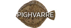 Pighvarre
