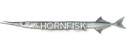 Hornfisk