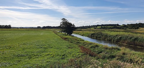 Skals Å